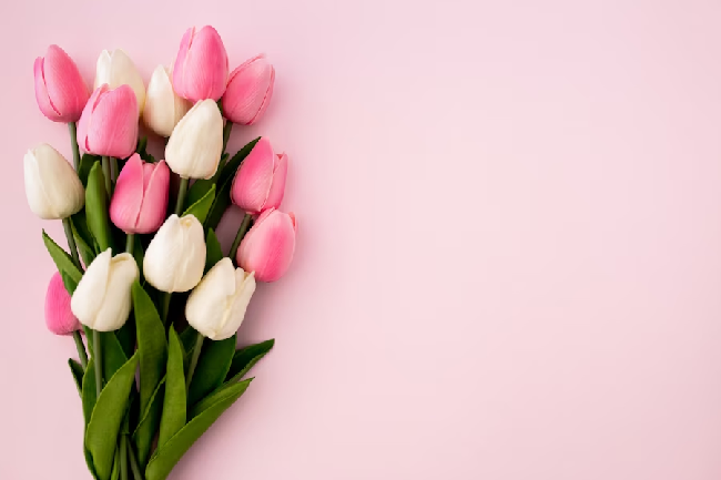 Rekomendasi Bunga yang Melambangkan Romantis untuk Pasangan